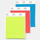 Pantone Nylon Bright Swatch Card