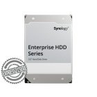 SYNOLOGY HAT5320-24T - 24 TB